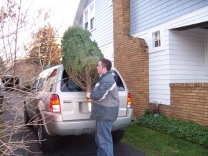 Pros and Cons of a real Christmas tree 3