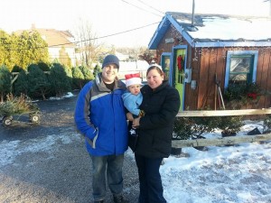 The Pros and Cons of Real Christmas Trees 2