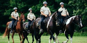 Photo courtesy of Cleveland Metroparks. 