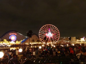 DSC03654