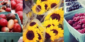 NorthUnionFarmersMarkets