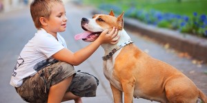 Young boy with dog