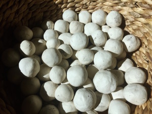 seedbombs-2