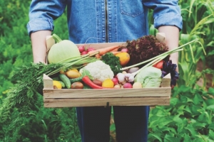 garden-produce