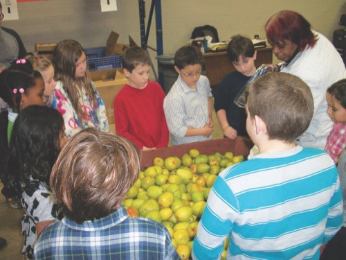 Greater Cleveland Food Bank in Ohio voted best place for families to volunteer 
