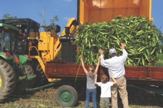 Fall fun in Akron, Ohio: Szalay's Farm Market