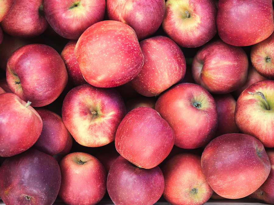 apple orchards near me