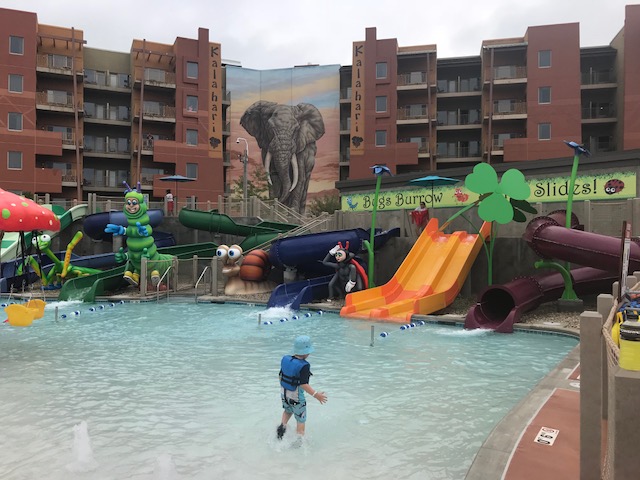 New At Kalahari Sandusky Bugs Burrow For Little Water Lovers Northeast Ohio Parent