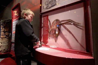 Things to do with kids in Cleveland, Ohio