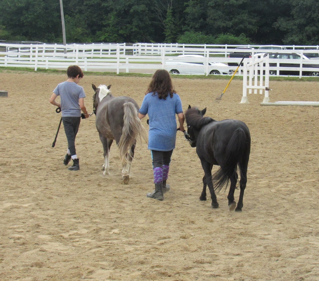 Chagrin Valley Farms HorseLovers Camps Northeast Ohio Parent