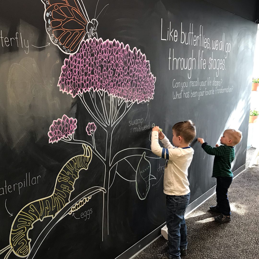 Our Journey Through ‘Amazing Butterflies’ at Cleveland Botanical Garden