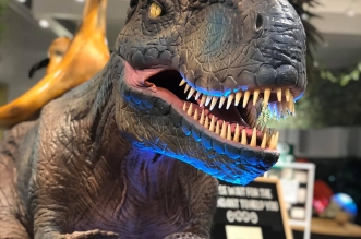 Great Lakes Mall Dino Quest