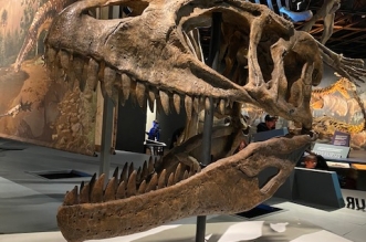 Cleveland museum of natural history