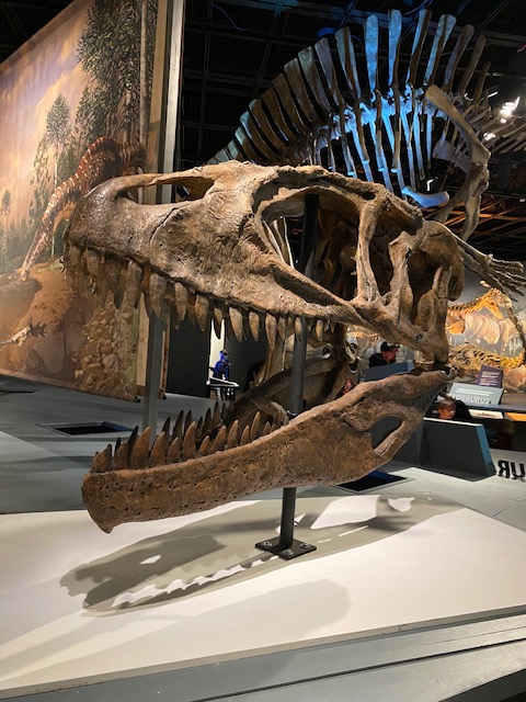 ultimate dinosaurs
