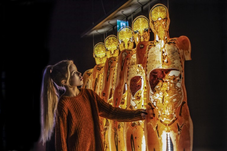Great Lakes Science Center Reopens with Body Worlds Rx Premiere