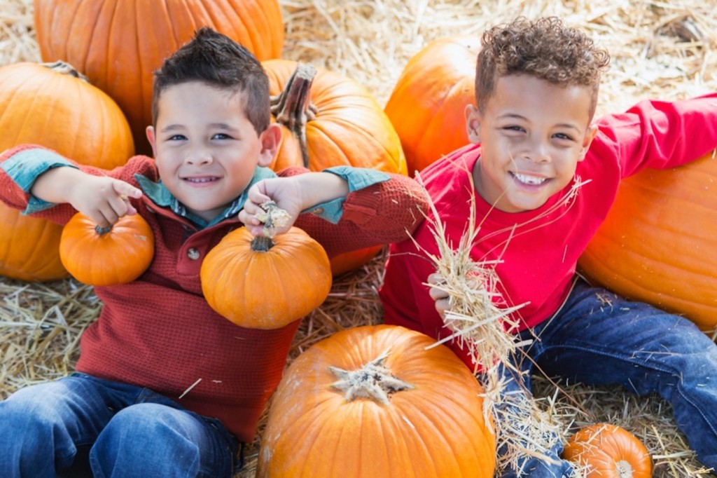 Fall Fun Weekday Events in Northeast Ohio