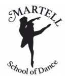 Hawken Summer Programs