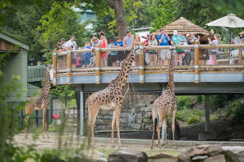cleveland zoo tickets price